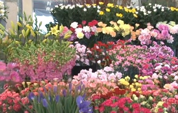 ㈲長谷川生花店 1 e388b2e995b7e8b0b7e5b79de7949fe88ab1e5ba97