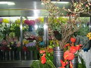 花の店なかじま 1 e88ab1e381aee5ba97e381aae3818be38198e381be