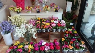 花巻の花屋 (日本) 1 e88ab1e5b7bbe381aee88ab1e5b18b e697a5e69cac